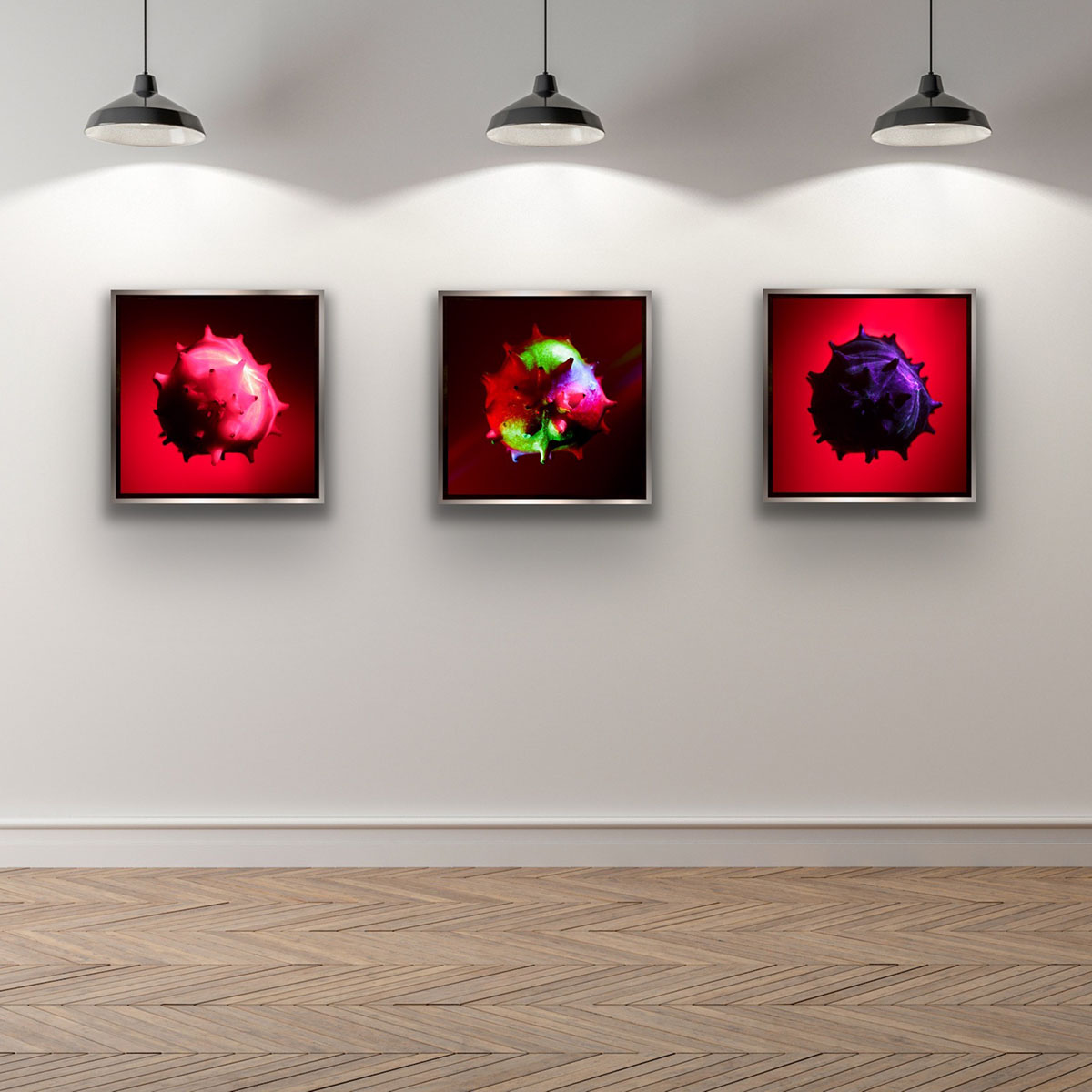 ANIMA by Grete Hjorth-Johansen, on a wall