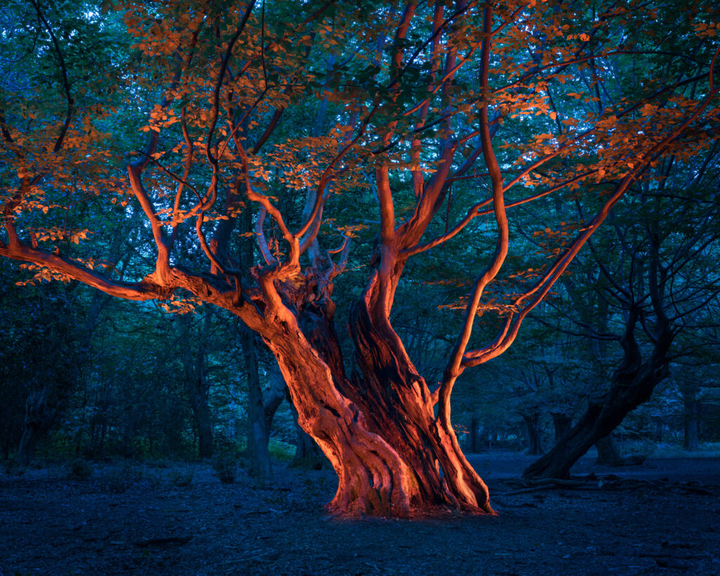 BRIAREUS by Grete Hjorth-Johansen