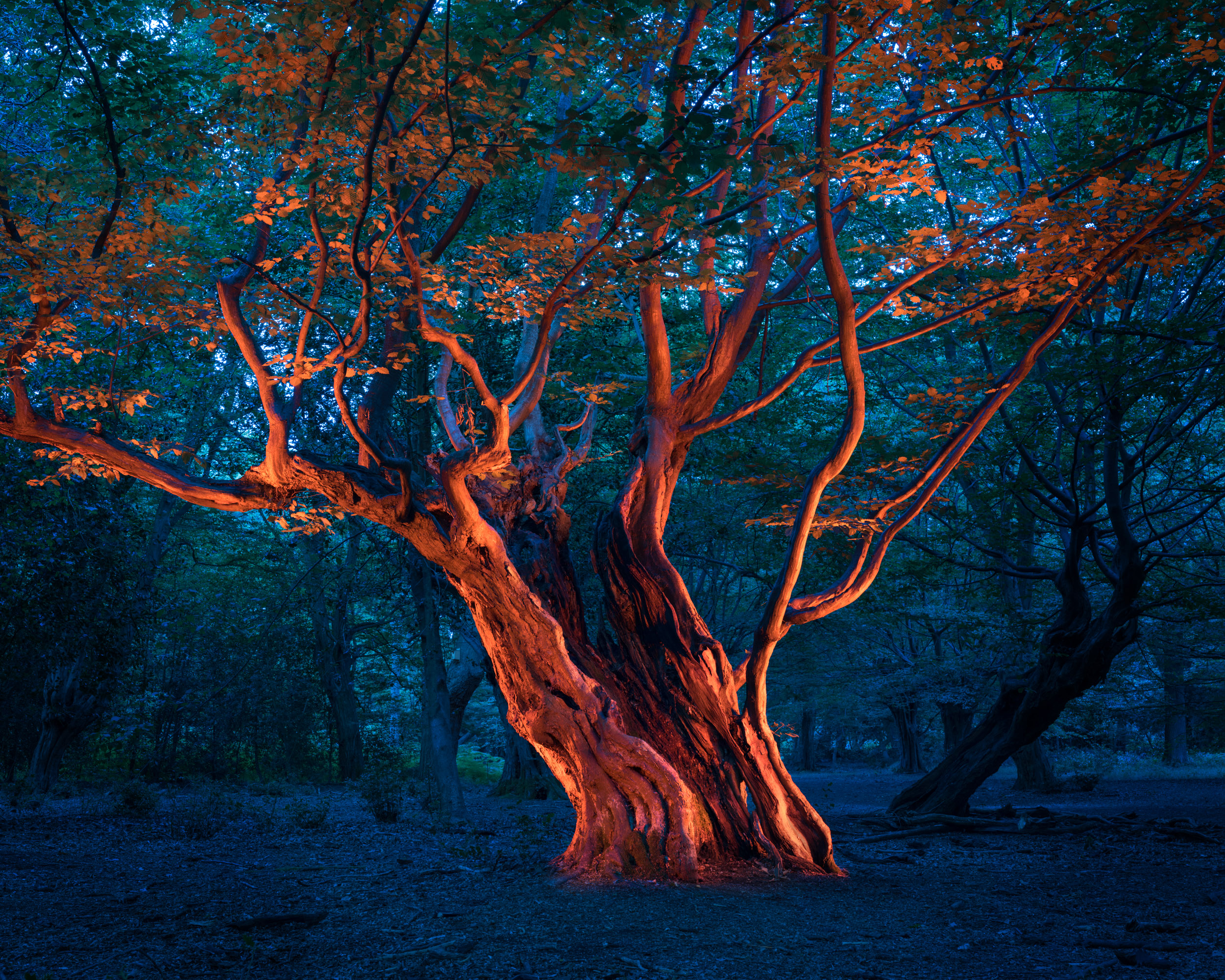 BEERS GALLERY FEATURE