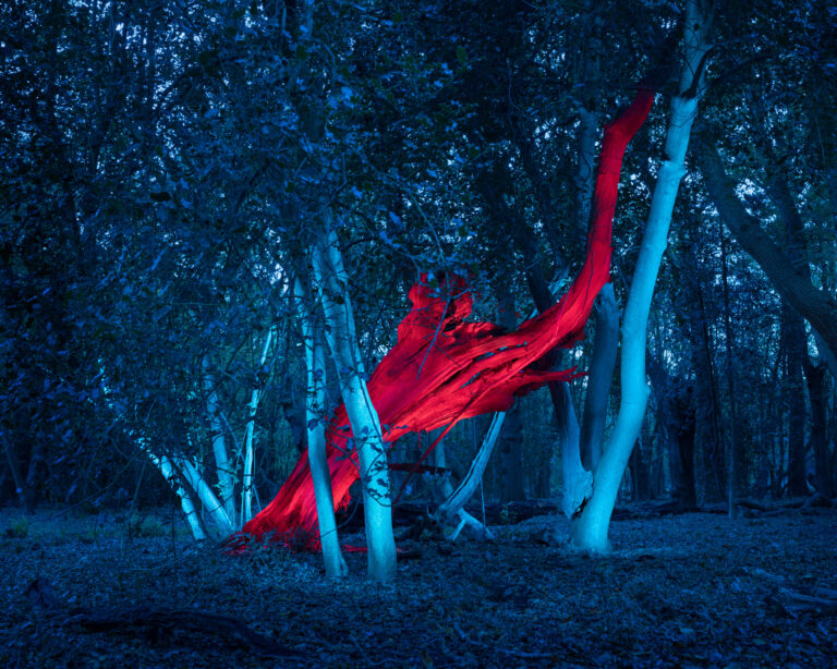 ELECTRA by Grete Hjorth-Johansen