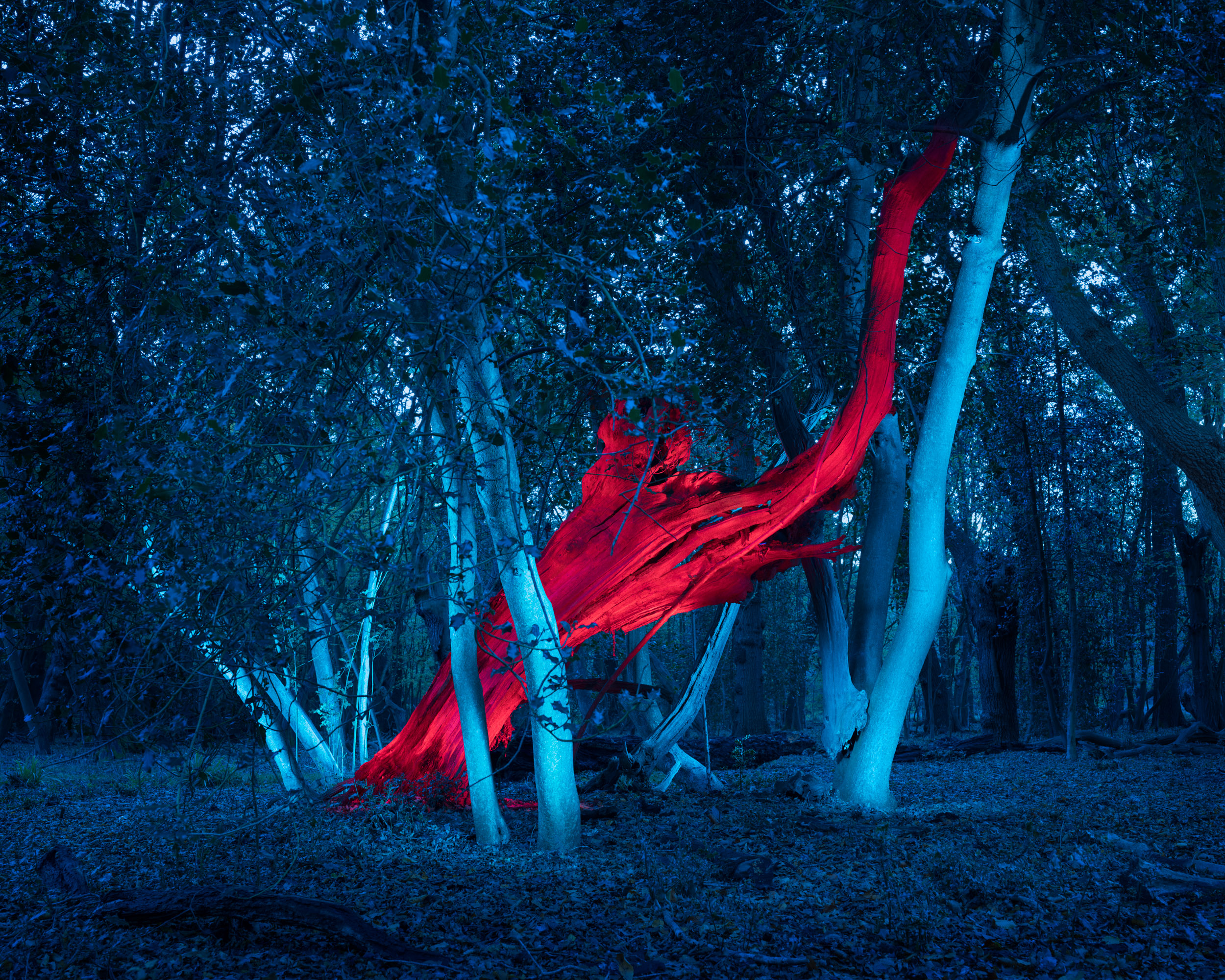 FUNDING FOR TARTARUS ZINE