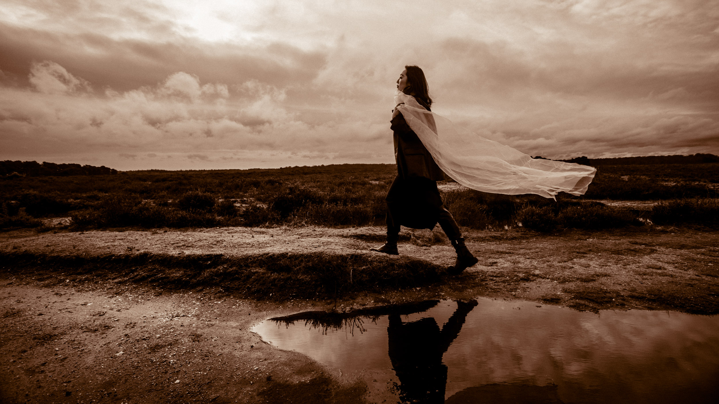WINDSWEPT IN THE GORSE 03 - Grete Hjorth-Johansen