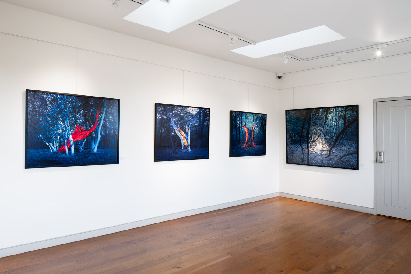 THE VIEW EXHIBITION 2022