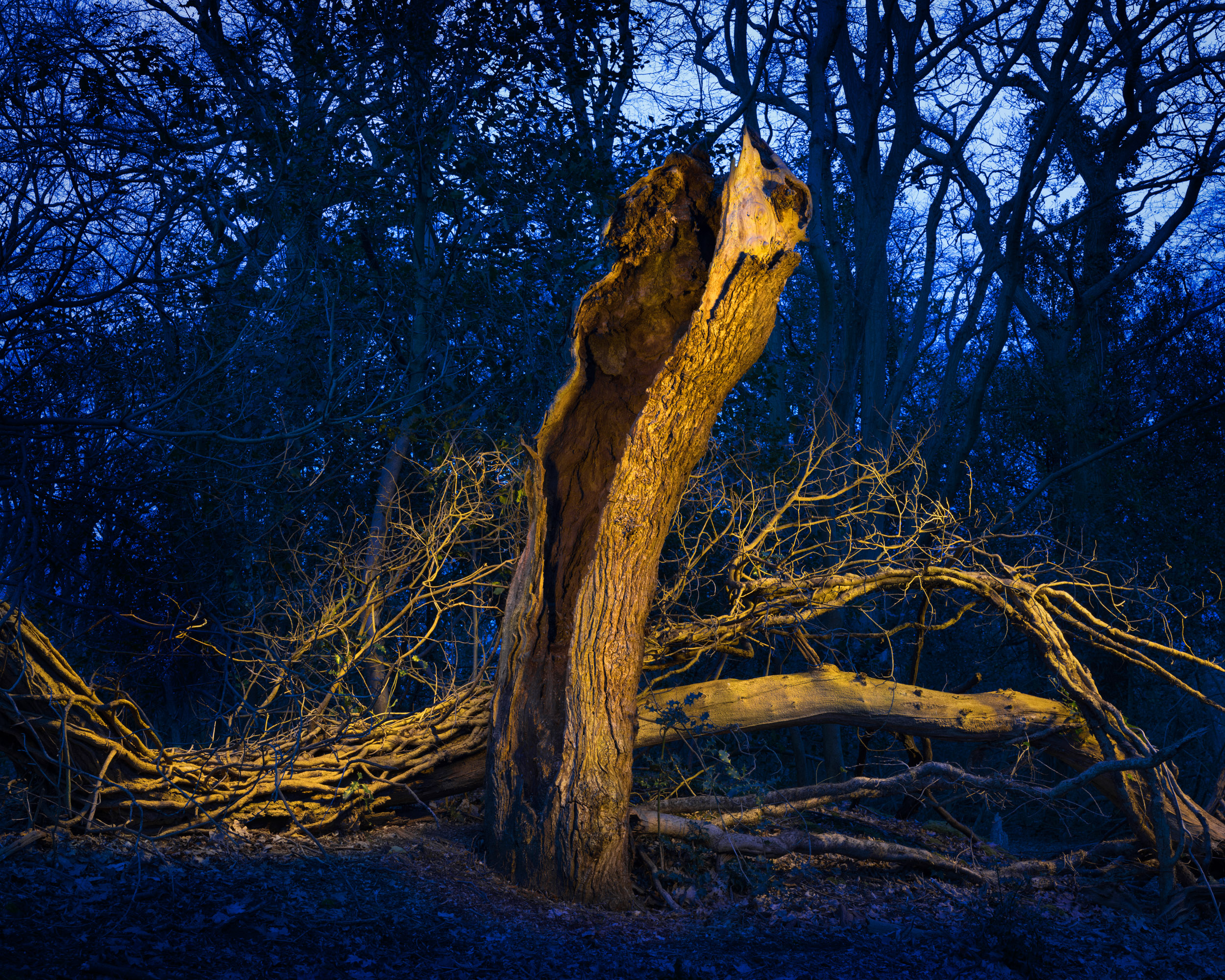 THE EARTH ISSUE FEATURE