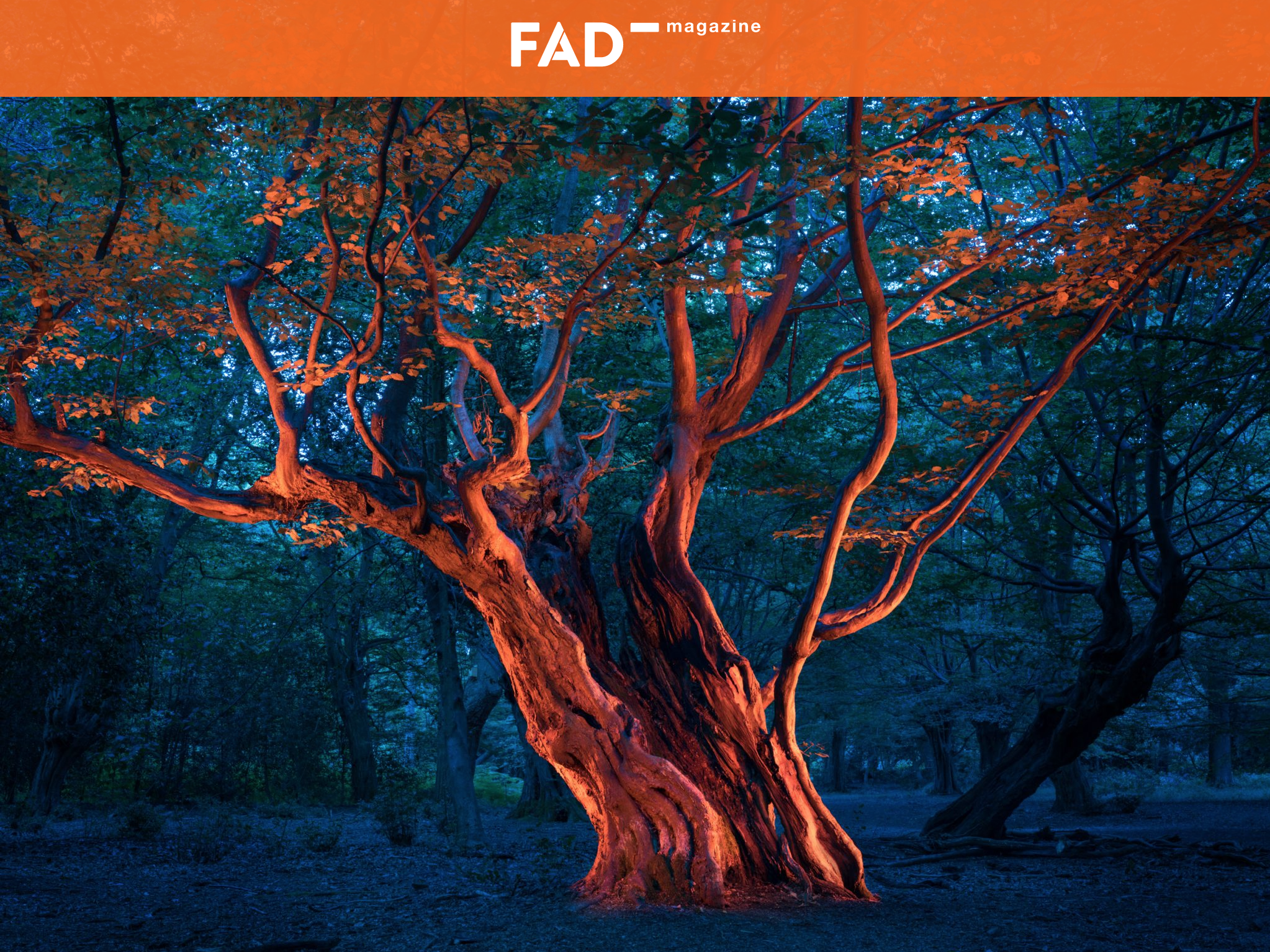FAD MAGAZINE