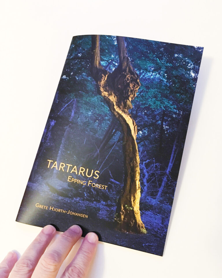 Tartarus Epping Forest zine cover by Grete Hjorth-Johansen